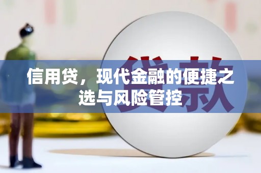 口湖信用贷，现代金融的便捷之选与风险管控