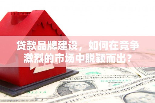 口湖贷款品牌建设，如何在竞争激烈的市场中脱颖而出？