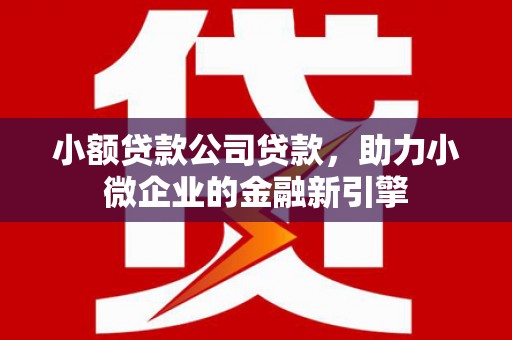 口湖小额贷款公司贷款，助力小微企业的金融新引擎