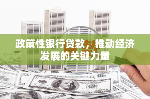 口湖政策性银行贷款，推动经济发展的关键力量
