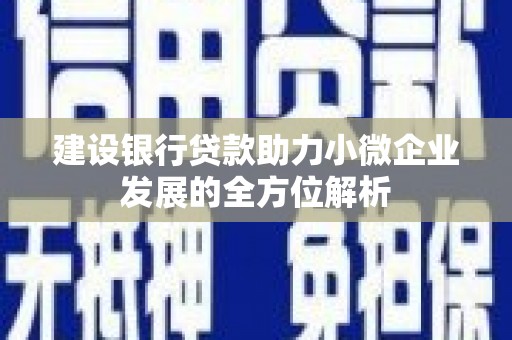 口湖建设银行贷款助力小微企业发展的全方位解析