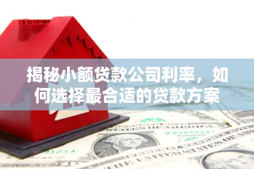 口湖揭秘小额贷款公司利率，如何选择最合适的贷款方案