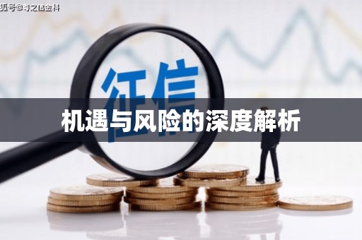 口湖机遇与风险的深度解析