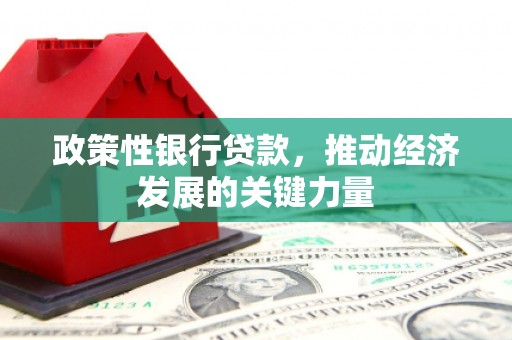 口湖政策性银行贷款，推动经济发展的关键力量