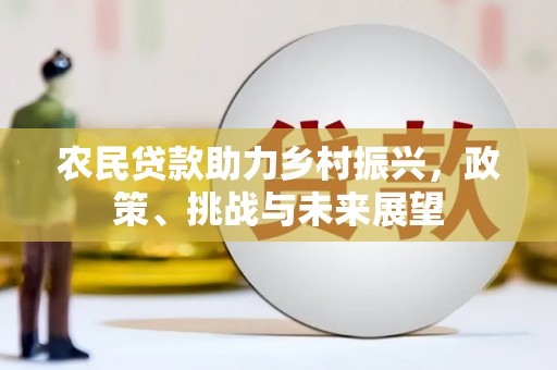 口湖农民贷款助力乡村振兴，政策、挑战与未来展望