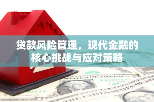 口湖贷款风险管理，现代金融的核心挑战与应对策略