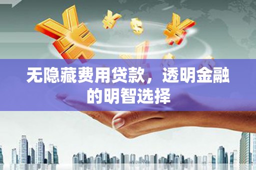 口湖无隐藏费用贷款，透明金融的明智选择