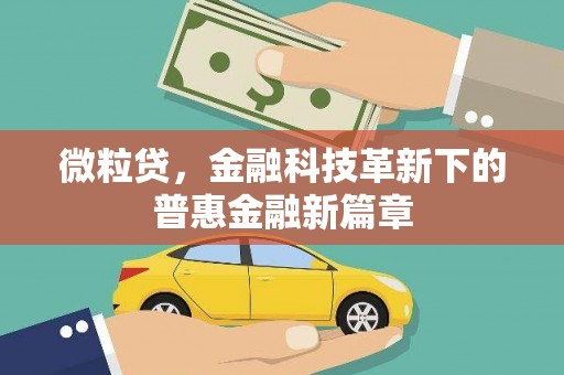 口湖微粒贷，金融科技革新下的普惠金融新篇章
