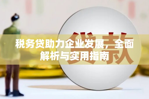 口湖税务贷助力企业发展，全面解析与实用指南