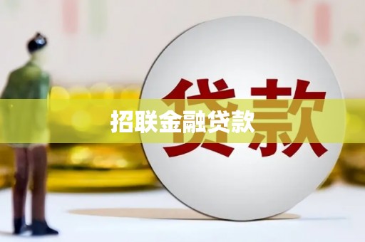 口湖招联金融贷款