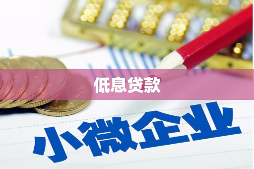 口湖低息贷款