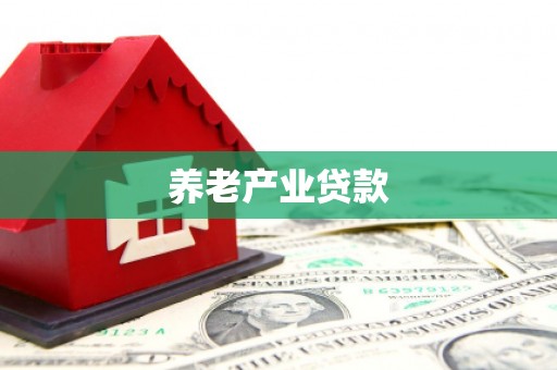 口湖养老产业贷款