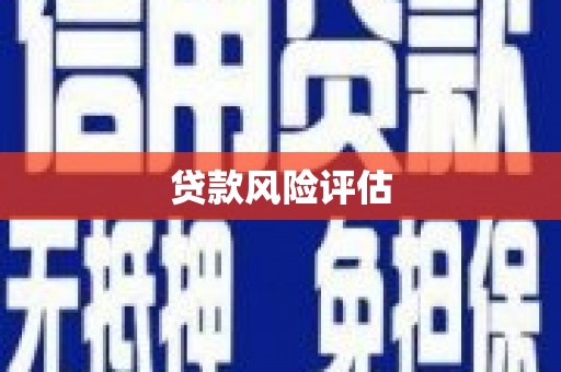 口湖贷款风险评估
