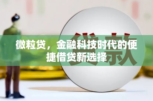 口湖微粒贷，金融科技时代的便捷借贷新选择