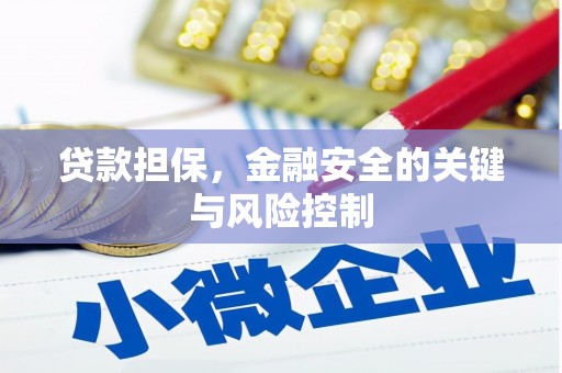 口湖贷款担保，金融安全的关键与风险控制