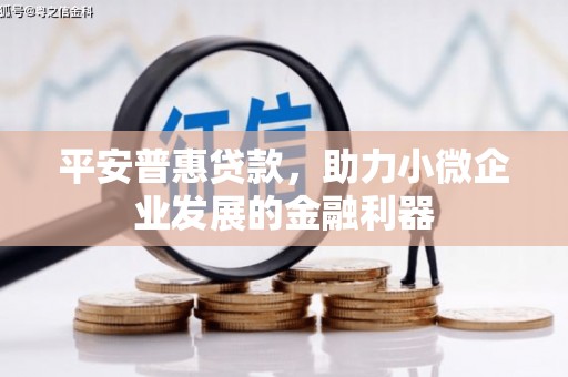 口湖平安普惠贷款，助力小微企业发展的金融利器