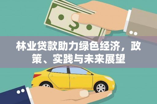 口湖林业贷款助力绿色经济，政策、实践与未来展望