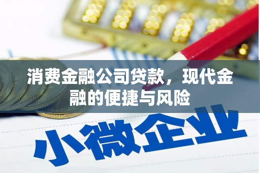 口湖消费金融公司贷款，现代金融的便捷与风险