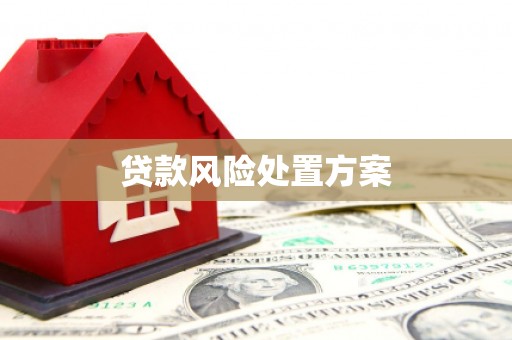 口湖贷款风险处置方案