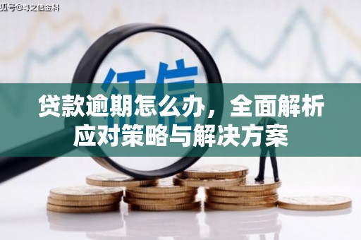 口湖贷款逾期怎么办，全面解析应对策略与解决方案