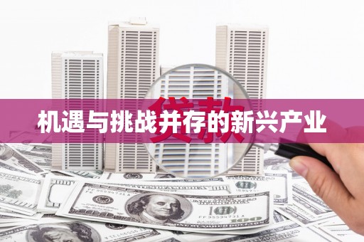 口湖机遇与挑战并存的新兴产业