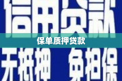 口湖保单质押贷款
