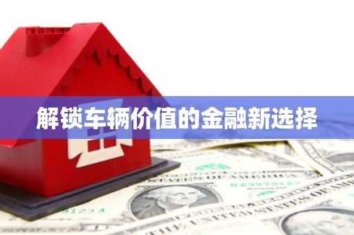 口湖解锁车辆价值的金融新选择