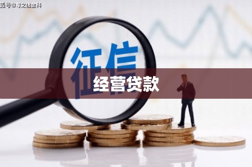 口湖经营贷款