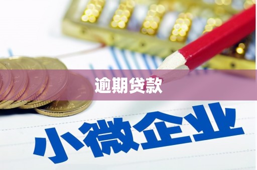 口湖逾期贷款