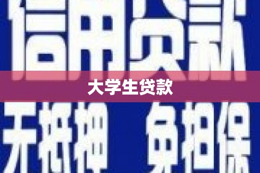 口湖大学生贷款