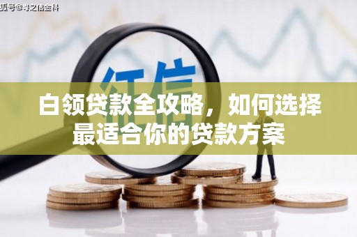 口湖白领贷款全攻略，如何选择最适合你的贷款方案